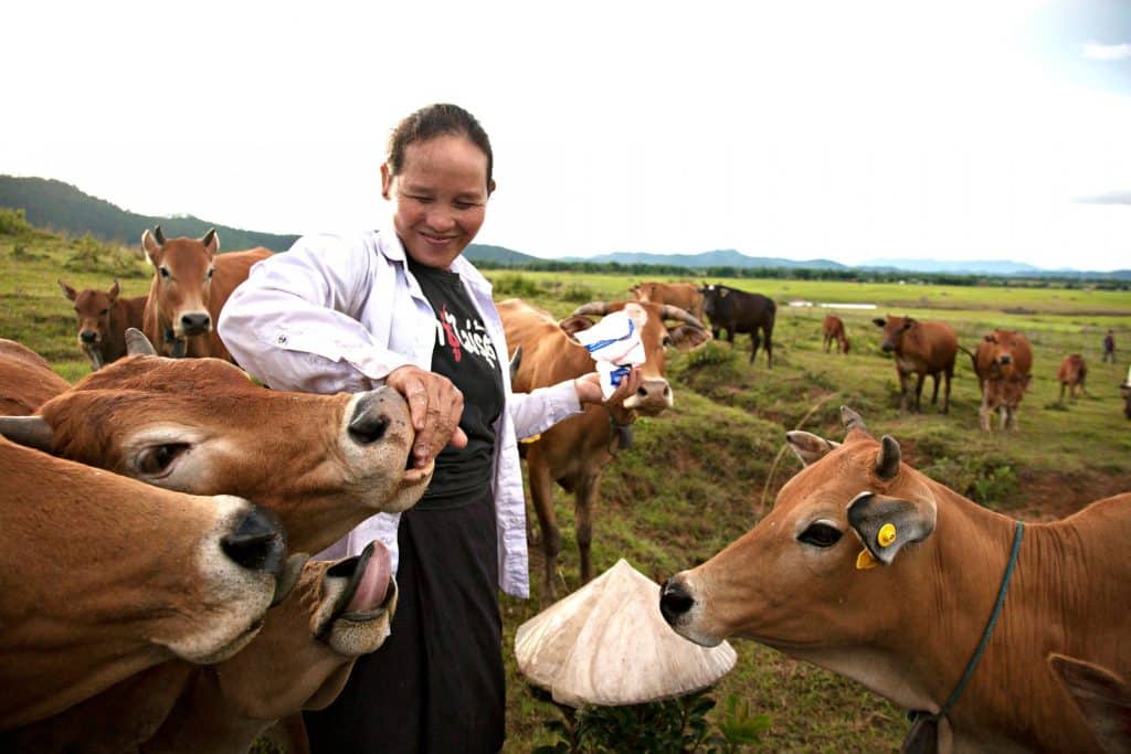 Tips to Keep Your Farm Animals Healthy