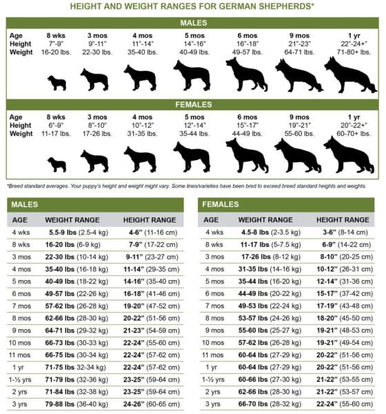 Need for Puppy Weight Chart