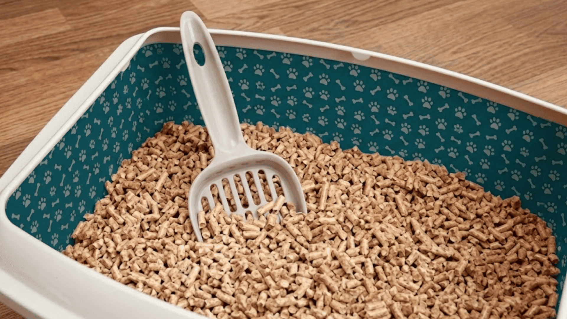 cat litter box filled with wood pellet litter and scoop placed inside on wooden floor