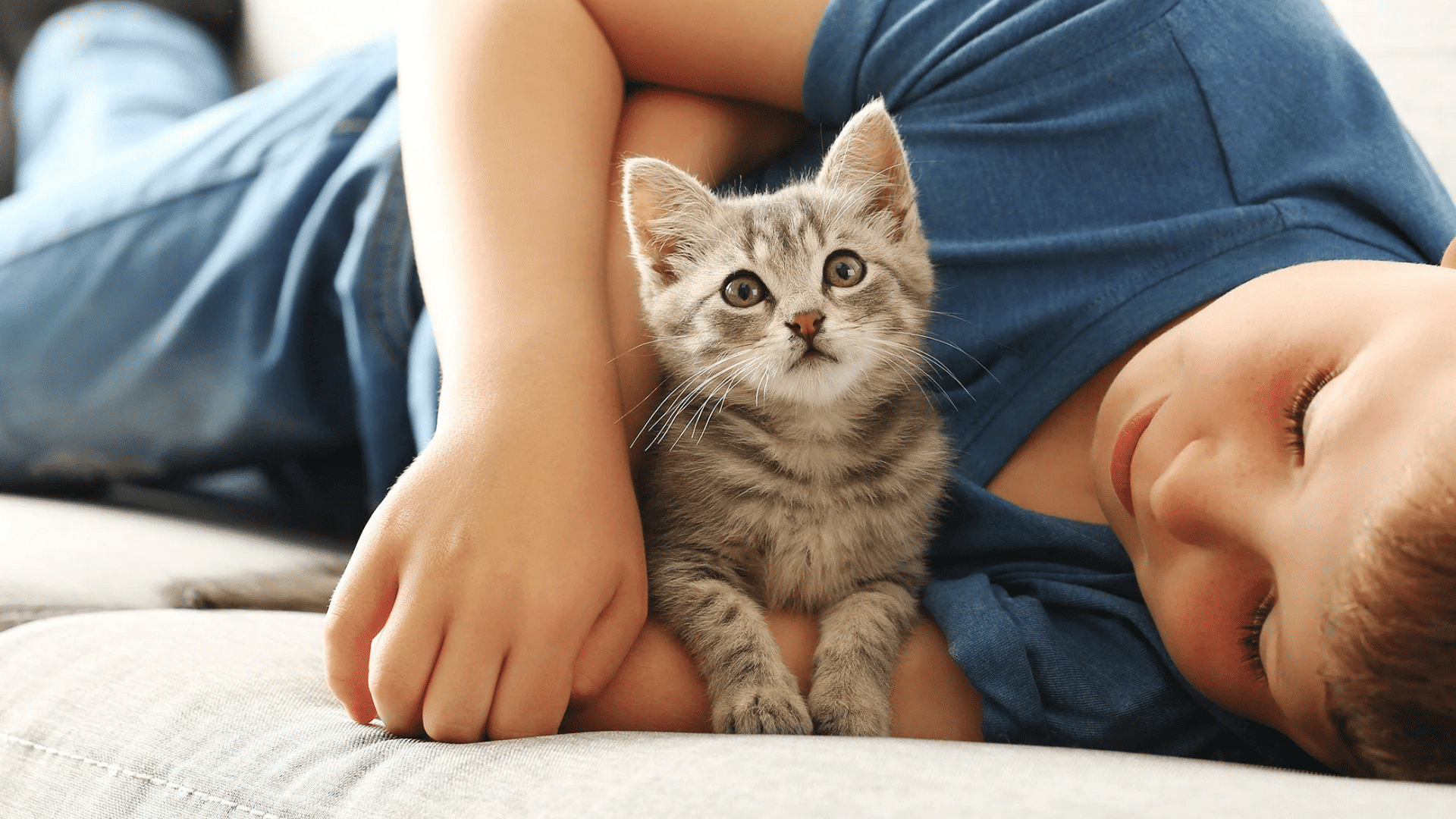 child lying on a sofa cuddling a gray kitten while relaxing together indoors in a comfortable home setting