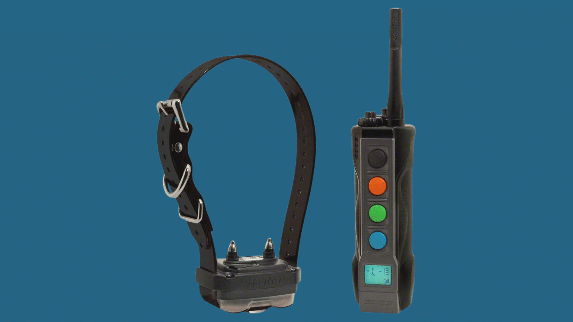 dogtra remote dog training system featuring handheld controller with display and adjustable black training collar