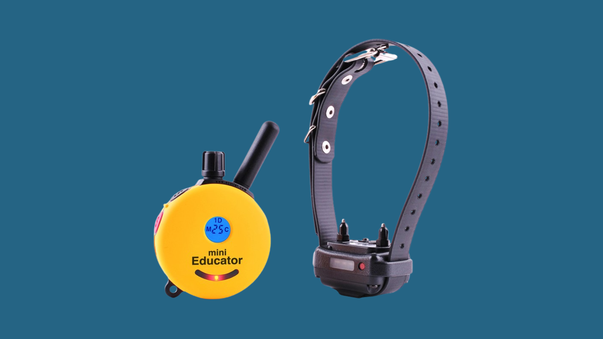 educator mini remote training collar with compact yellow transmitter and adjustable black collar