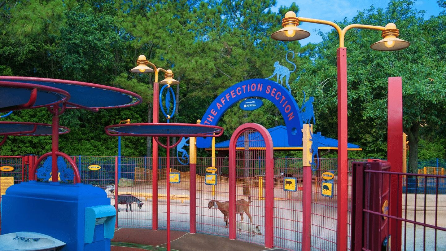entrance to a fenced animal interaction area with colorful archways shaded structures and goats inside the enclosure
