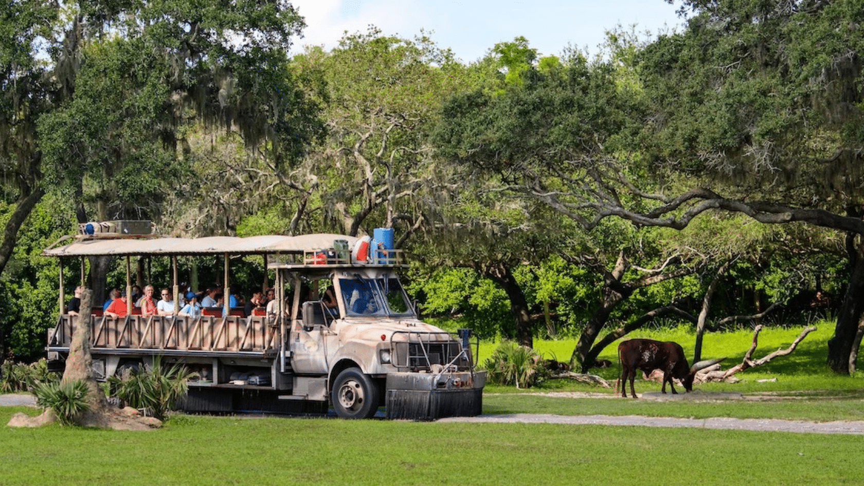 open air safari truck carrying passengers along a grassy path through wooded terrain with a grazing animal nearby