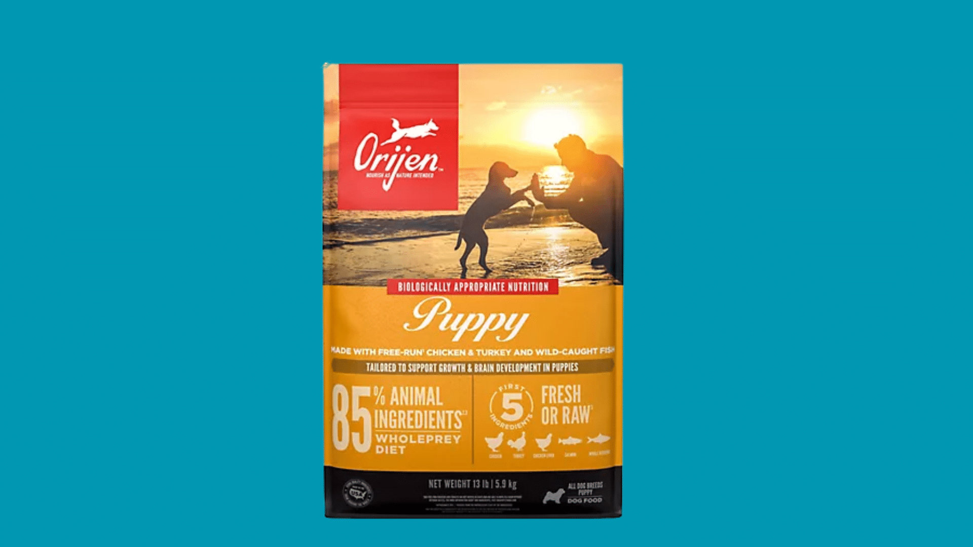 orijen puppy recipe packed with protein rich ingredients to support active growing puppies and muscle development