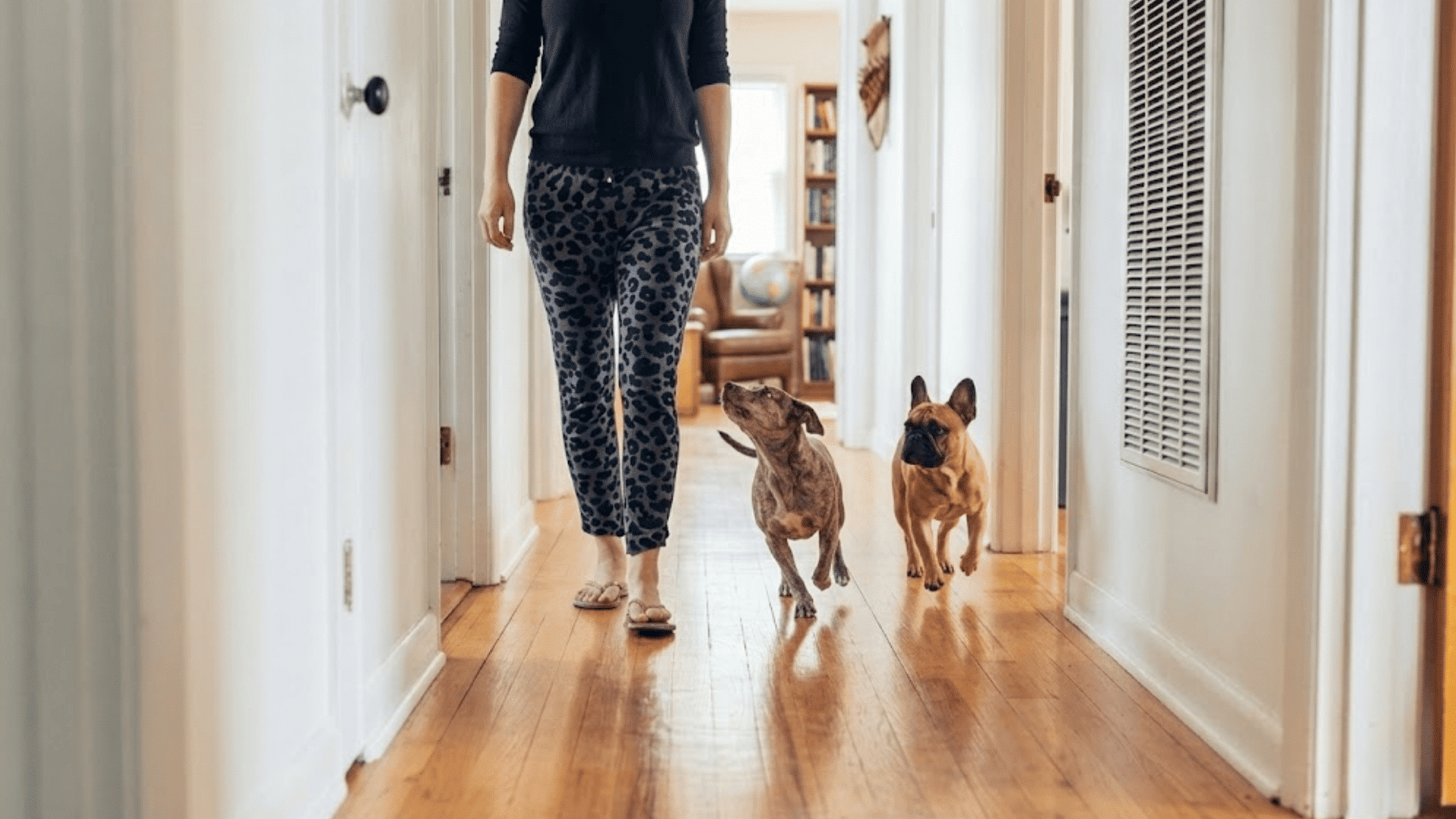 woman walking through hallway while two dogs closely follow beside her inside a bright home