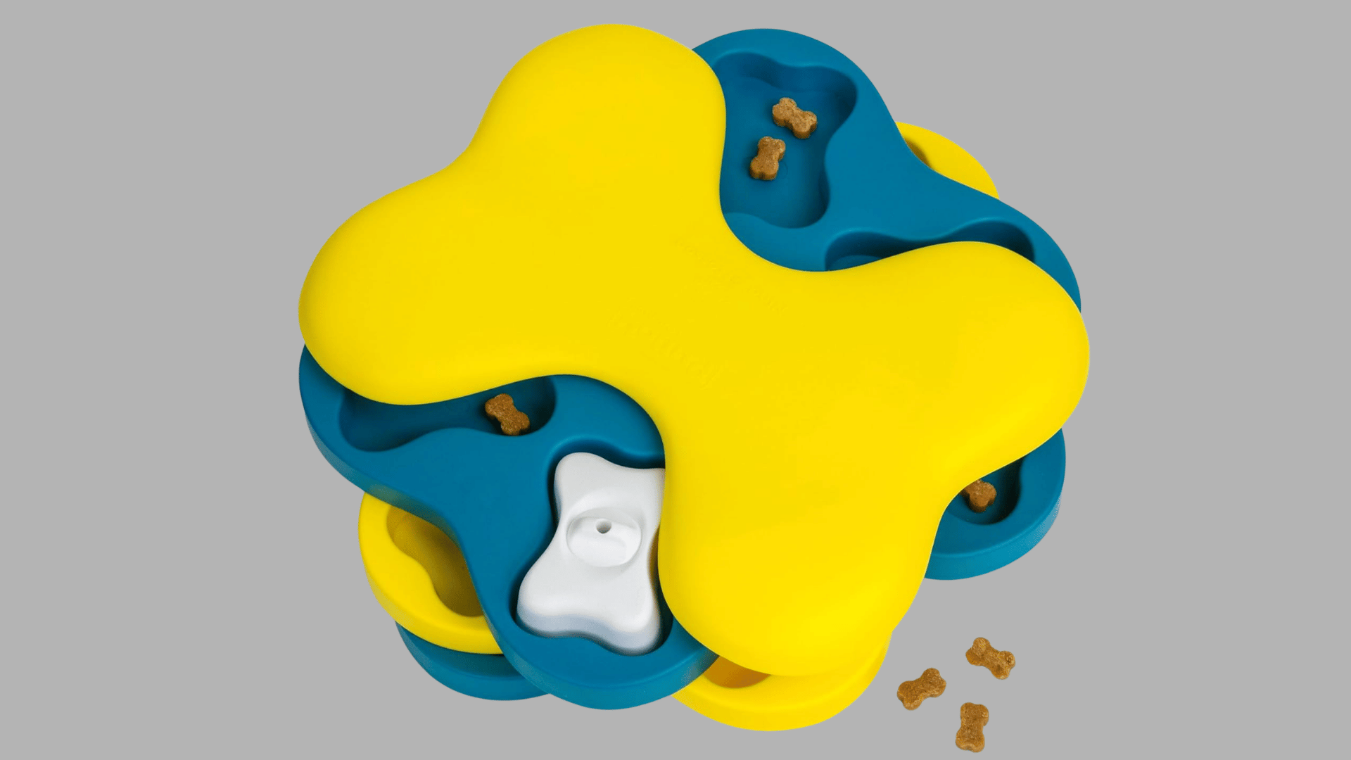 yellow and blue dog puzzle toy with rotating bone shaped covers hiding treat compartments and small treats visible underneath