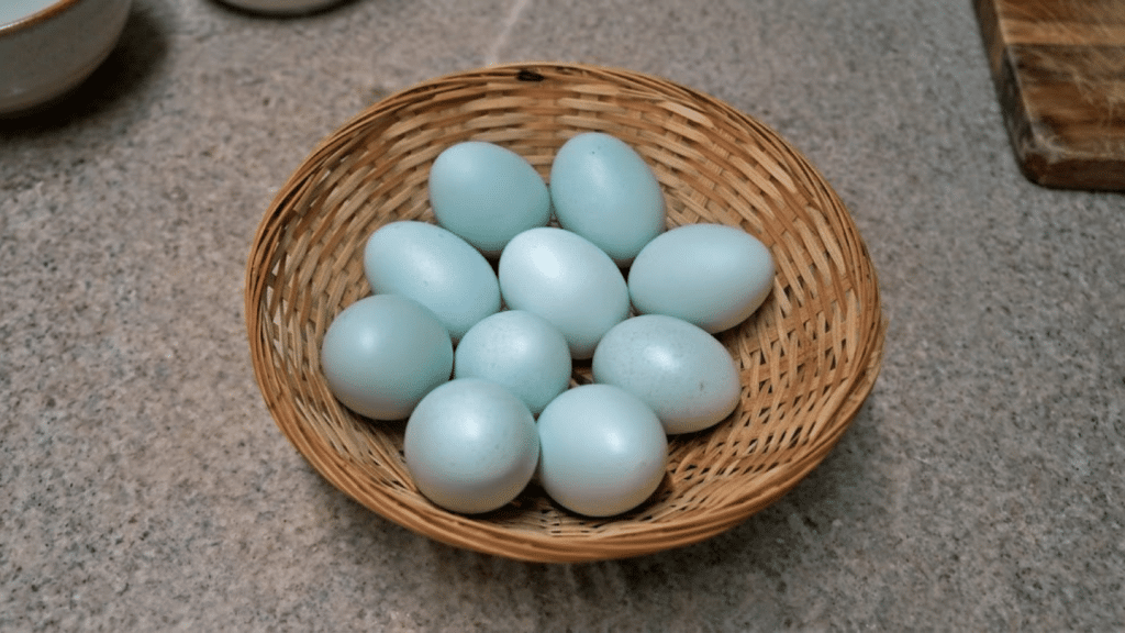 a collection of pale blue eggs from chickens that lay blue eggs sitting in a round woven basket on a grey counter top