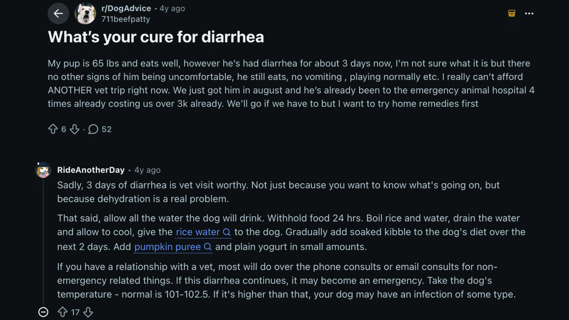 a screenshot of a reddit discussion about home remedies for dog diarrhea with comments recommending veterinary care and hydration