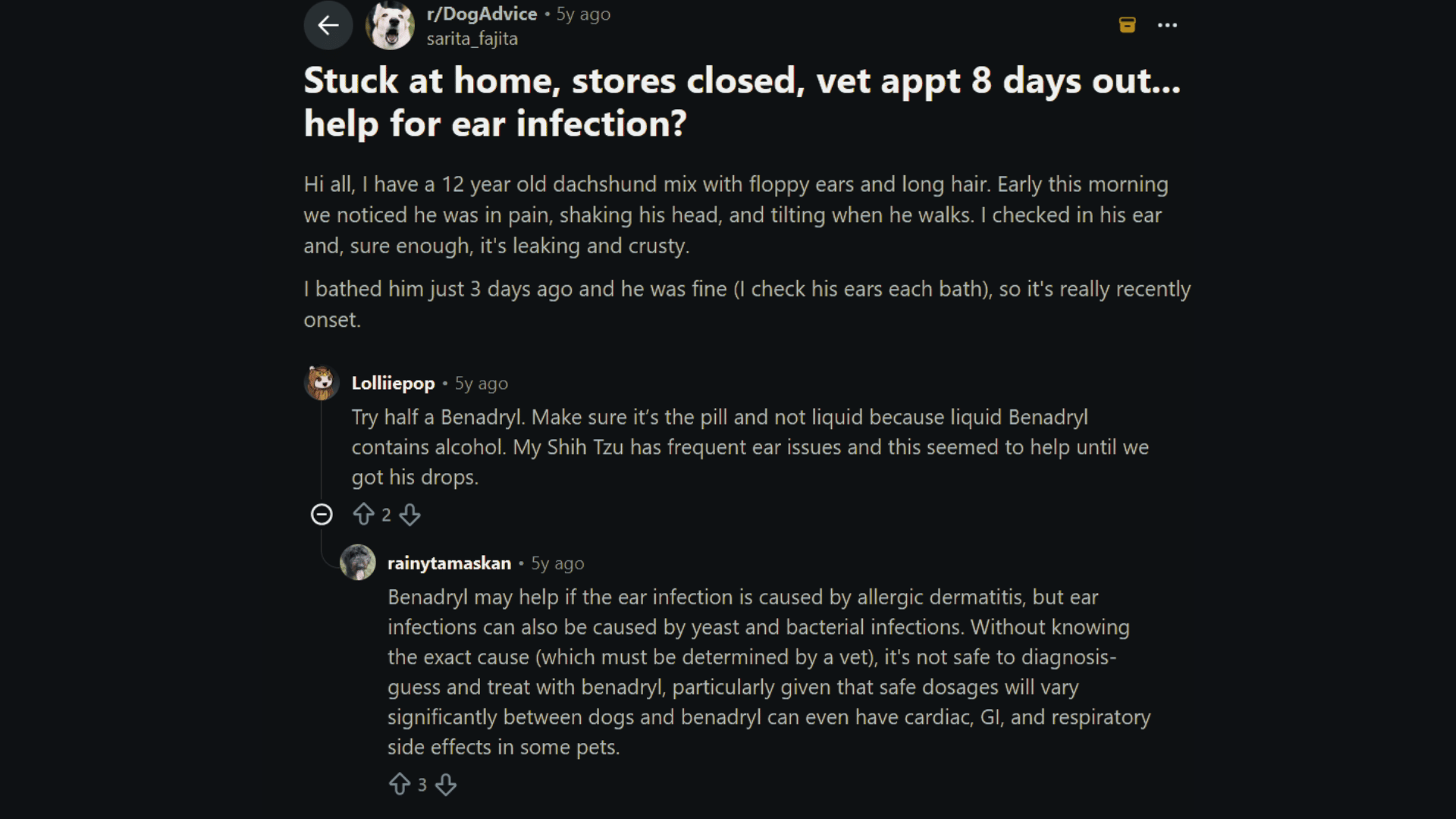 reddit post asking for help with a dogs ear infection while replies discuss benadryl use and advise waiting for veterinary care