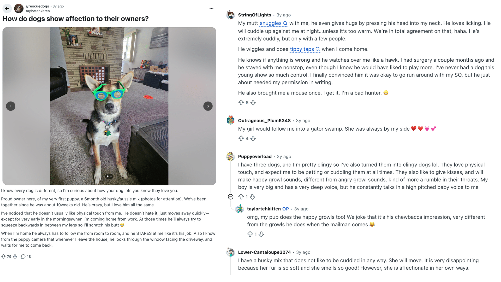reddit post asking how dogs show affection to their owners with photo of a puppy wearing colorful sunglasses and replies sharing stories