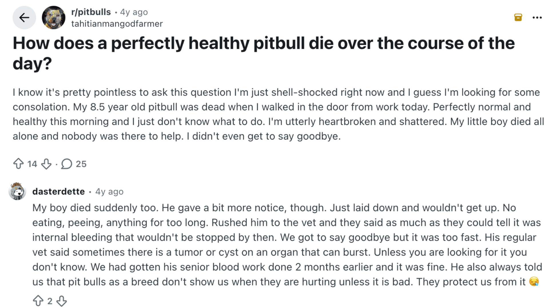 reddit post discussing sudden pitbull death with a reply sharing a similar experience and possible causes