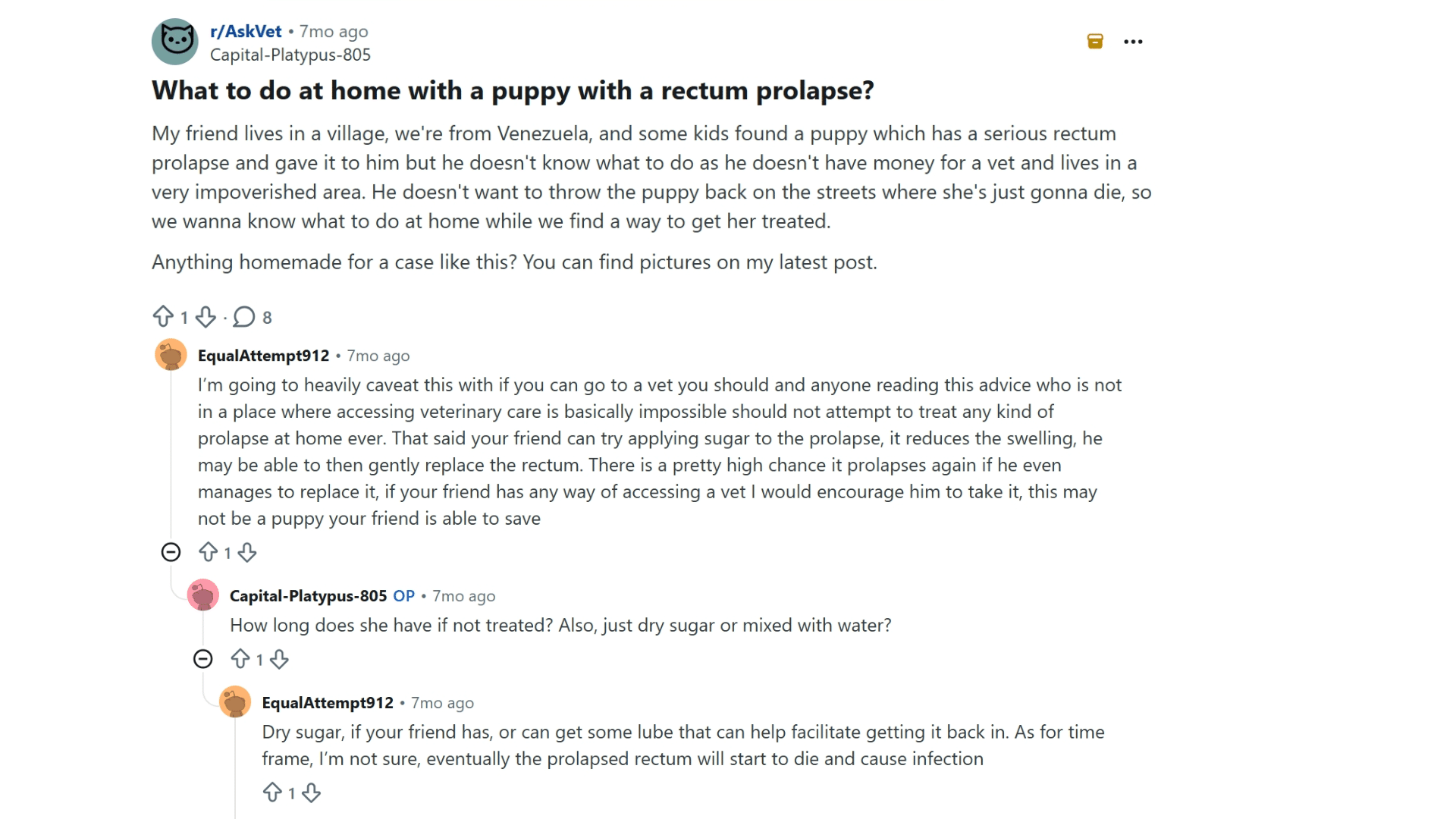 reddit users sharing their experiences and advice in an online discussion about healing a dog prolapse at home safely
