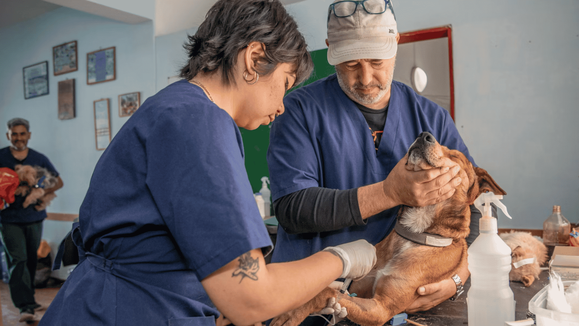 two veterinary workers treating a brown dog on an exam table while other pets wait in the clinic
