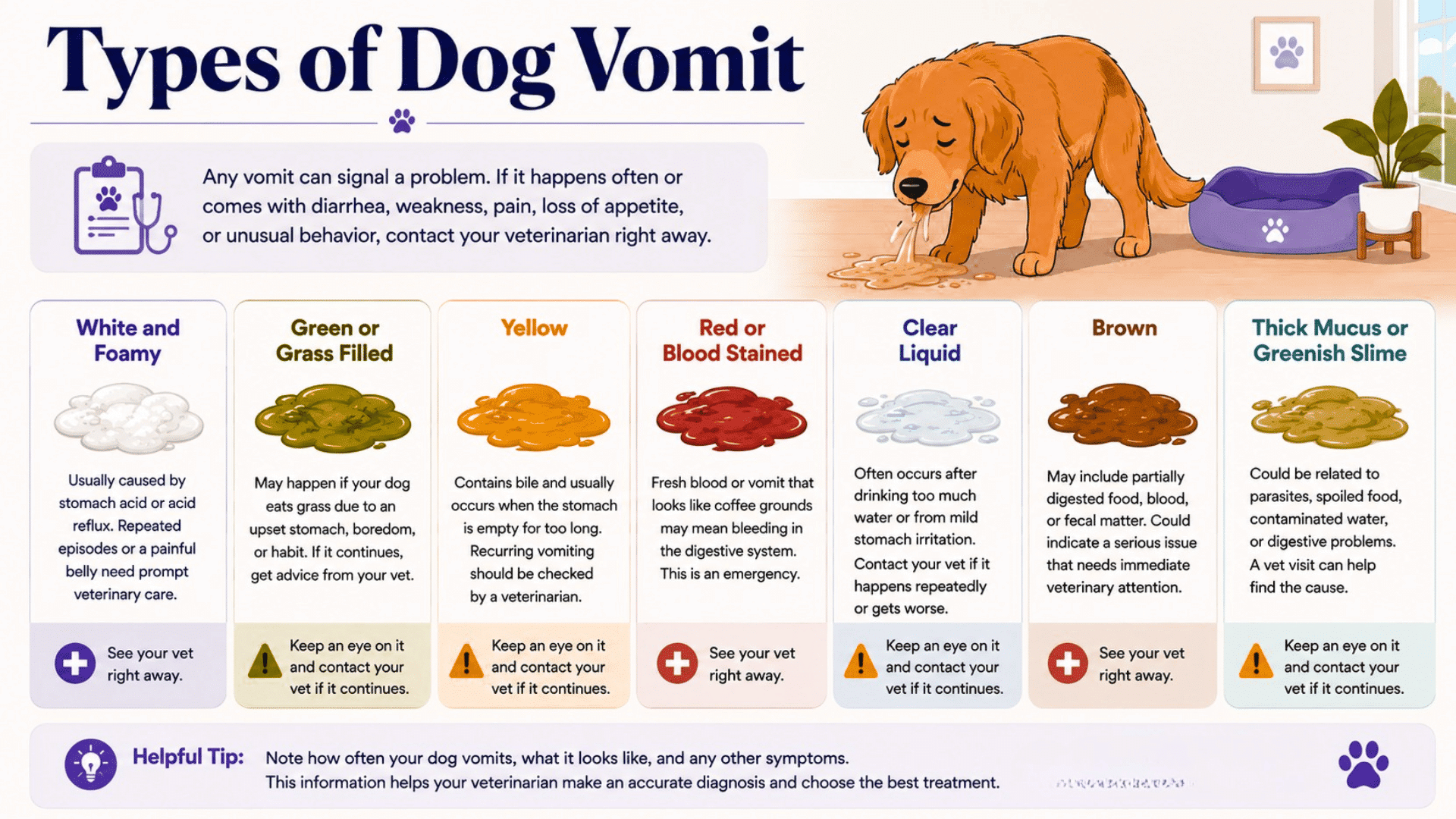 dog vomiting infographic showing common vomit types with a sick dog illustration and simple guidance on possible causes and care