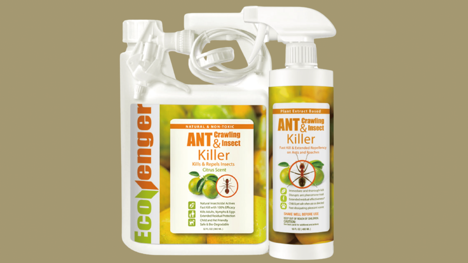 ecovenger ant and crawling insect killer spray bottle on kitchen counter with ants near the wall.