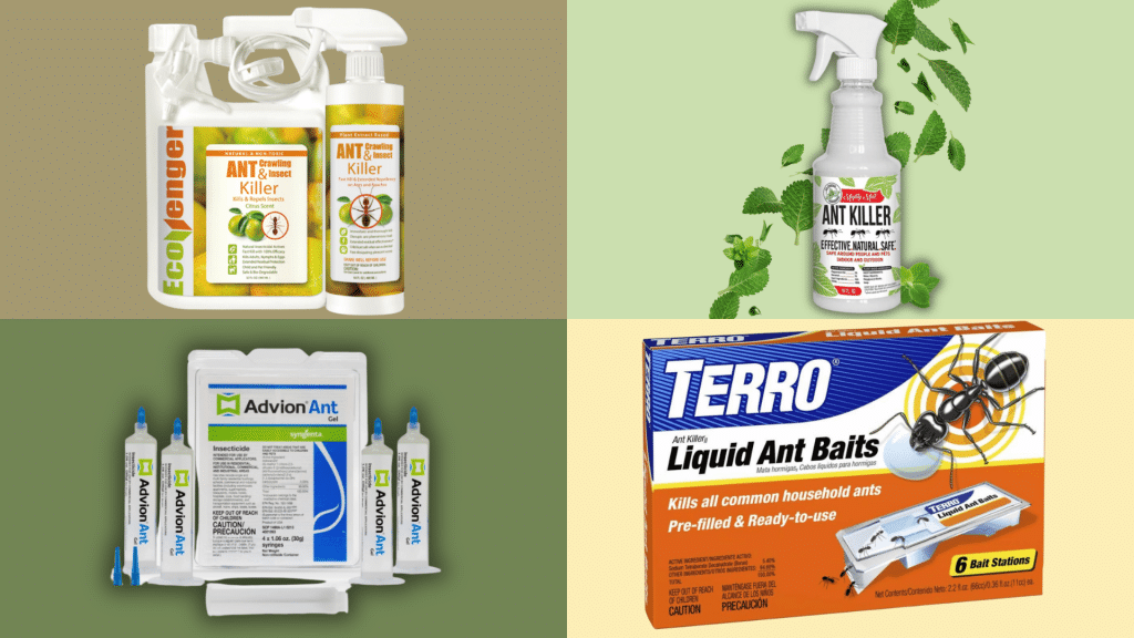 natural ant control products and bait stations displayed for managing household ant infestations safely