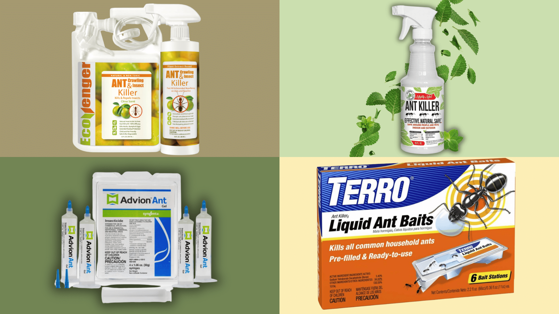natural ant control products and bait stations displayed for managing household ant infestations safely