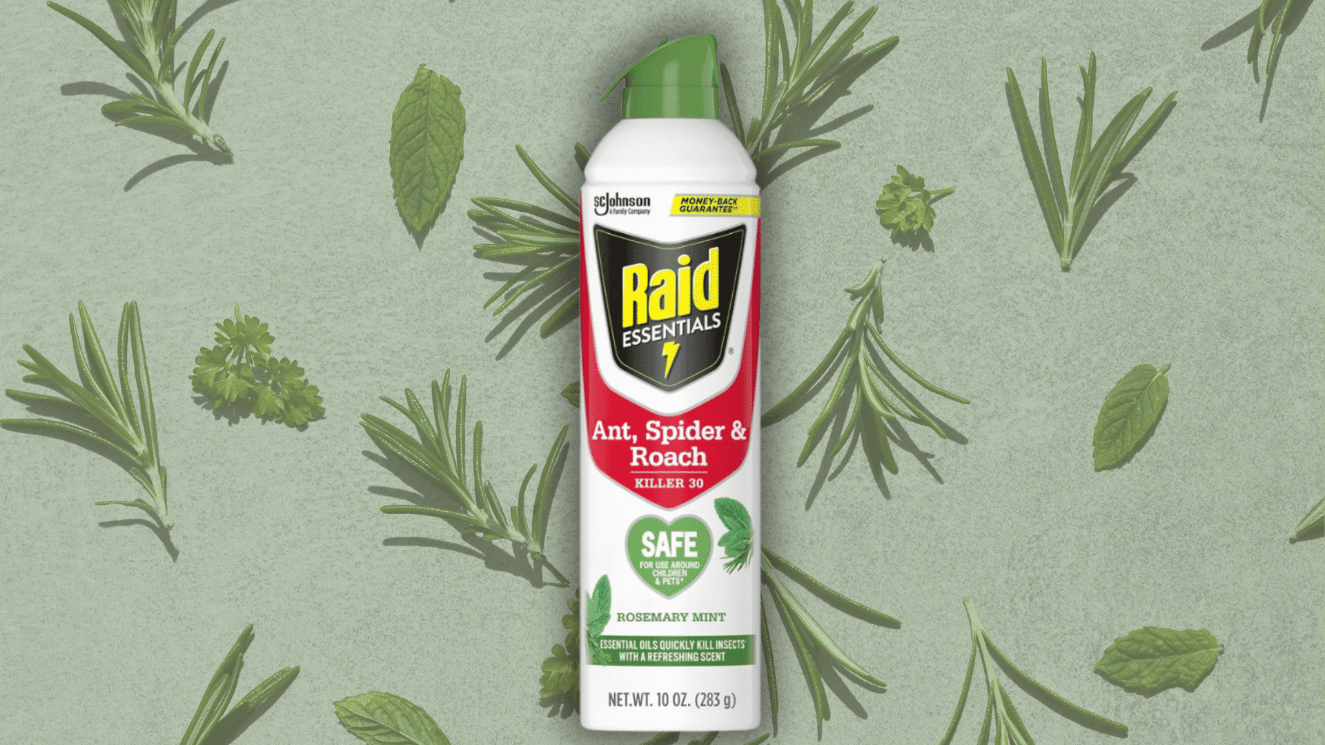 raid essentials ant spider and roach killer spray bottle on herbs