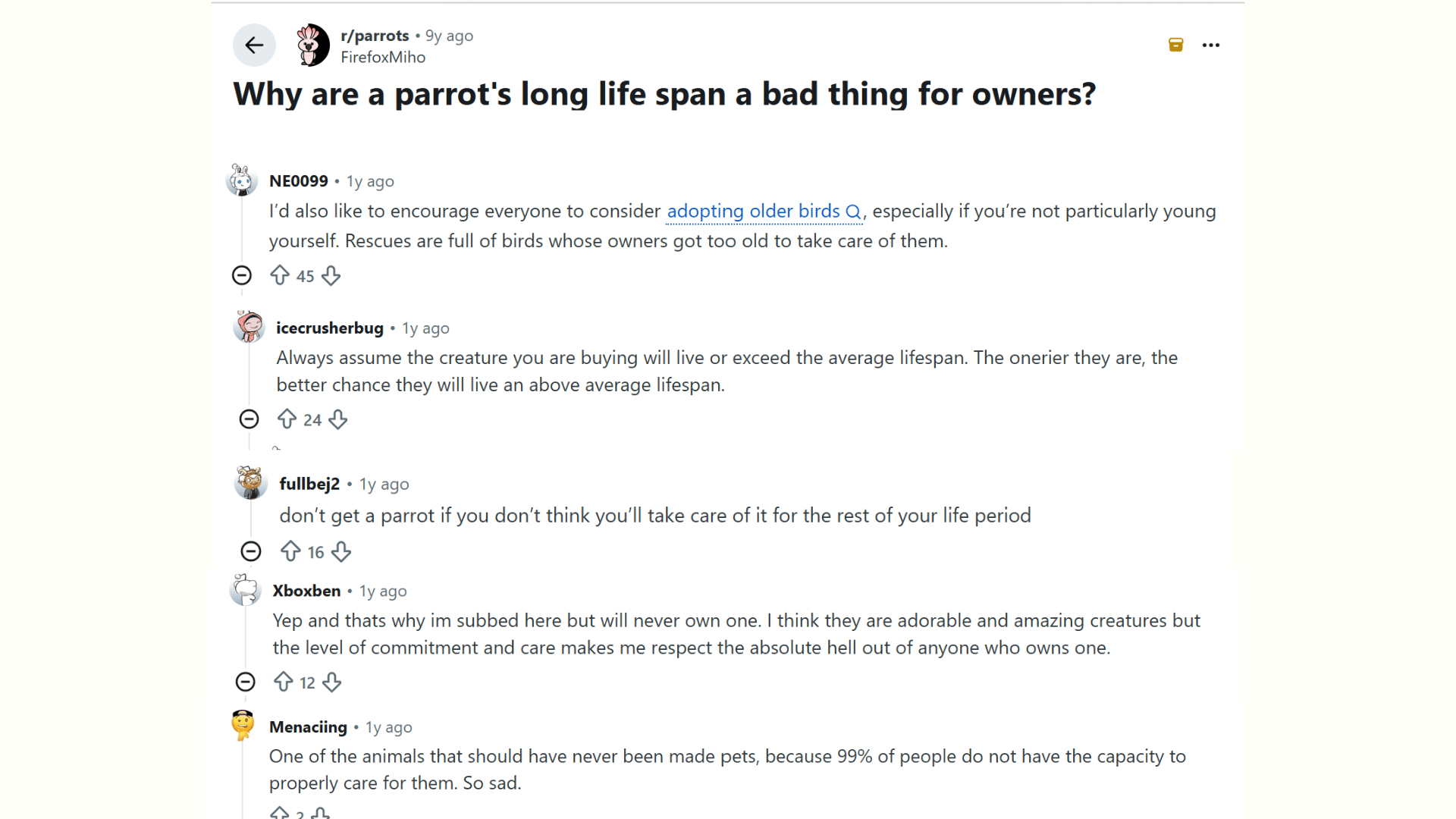 reddit discussion about parrot lifespan and the long term commitment of caring for pet birds (1)