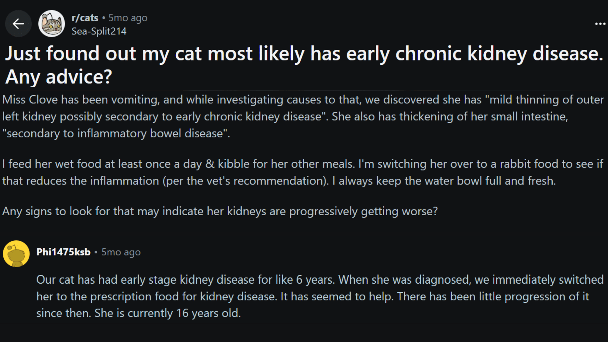 reddit post describing cat kidney failure symptoms including excessive drinking and frequent urination noticed by owner (2)