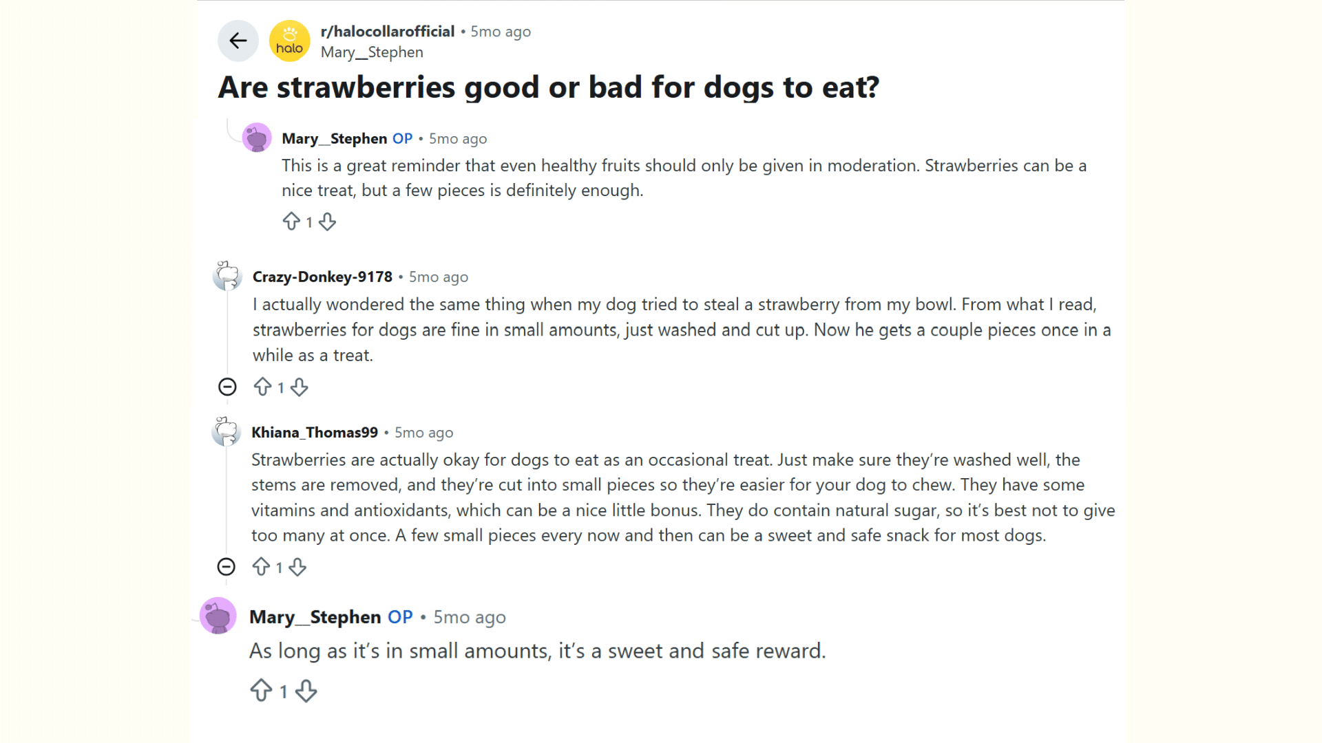 screenshot of a Reddit discussion where dog owners say strawberries are safe for dogs in small amounts with proper preparation.